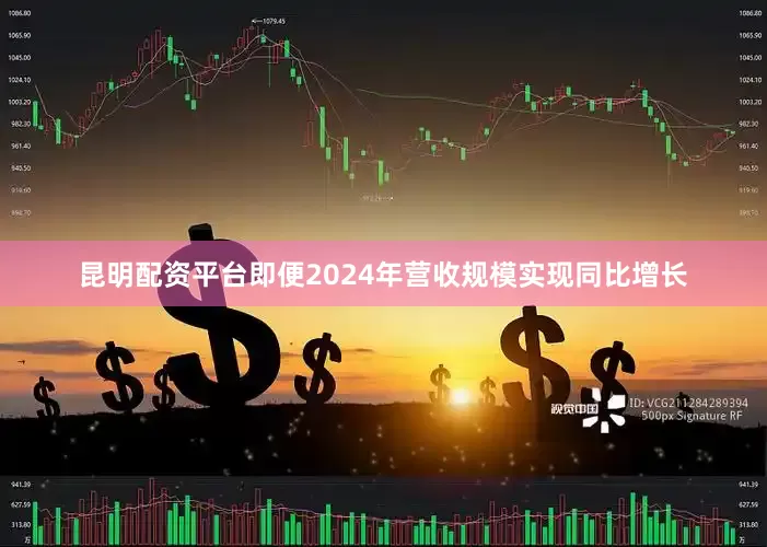 昆明配资平台即便2024年营收规模实现同比增长