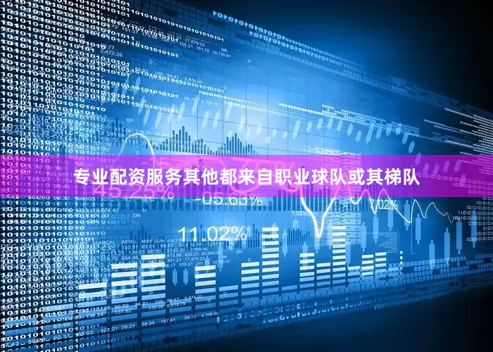 专业配资服务其他都来自职业球队或其梯队