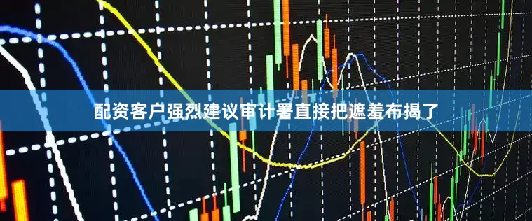 配资客户强烈建议审计署直接把遮羞布揭了