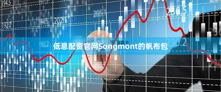 低息配资官网Songmont的帆布包