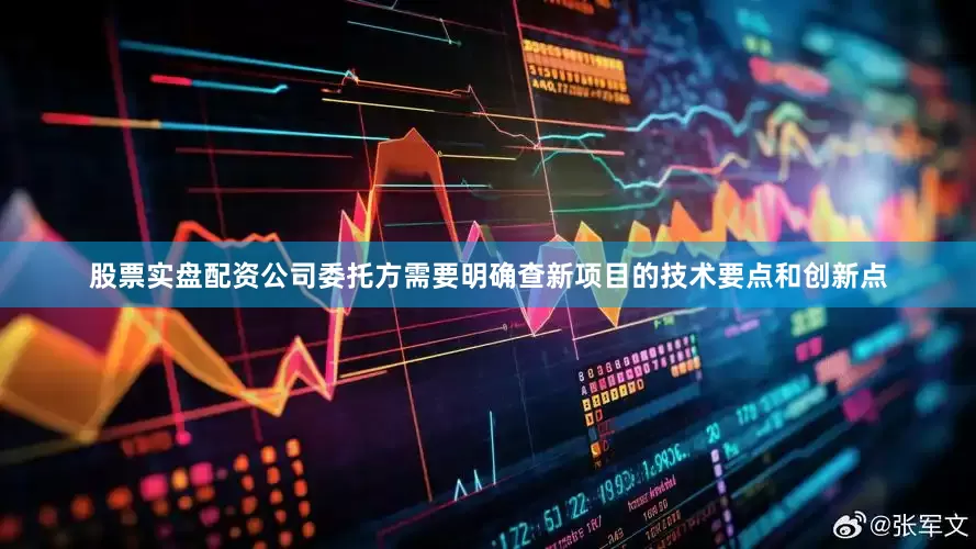股票实盘配资公司委托方需要明确查新项目的技术要点和创新点